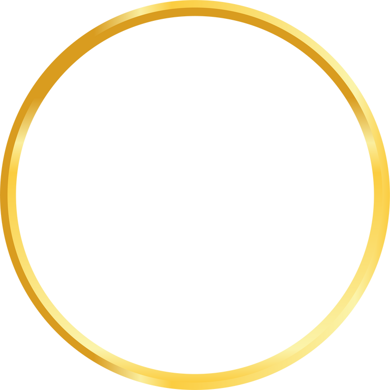Ring round  gold shape abstract frame border background element